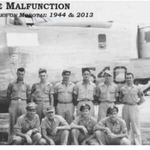 The Flight of the Malfunciton (Paperback Edition)