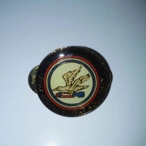 371st Bombardment Squadron Commemorative Pin