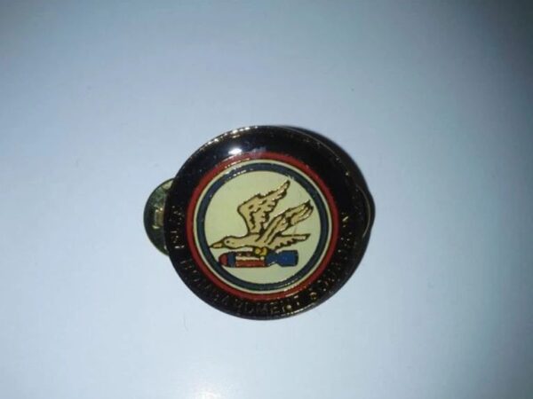 371st Bombardment Squadron Commemorative Pin