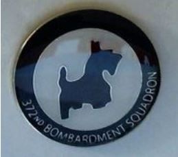 372nd Bombardment Squadron Commemorative Pin