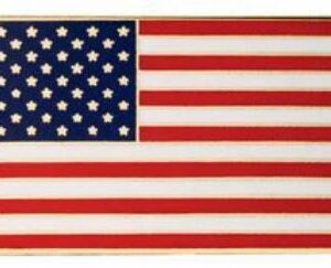US Flag Lapel/Hat Pin